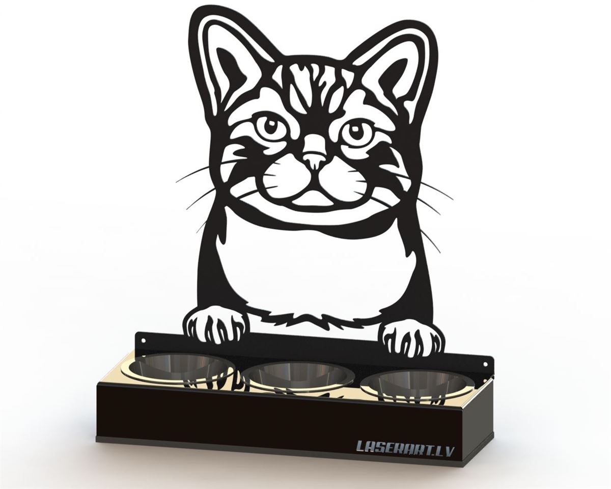 3-Bowl Cat Feeder, American Wirehair Cat breed, Raised Feeding Station