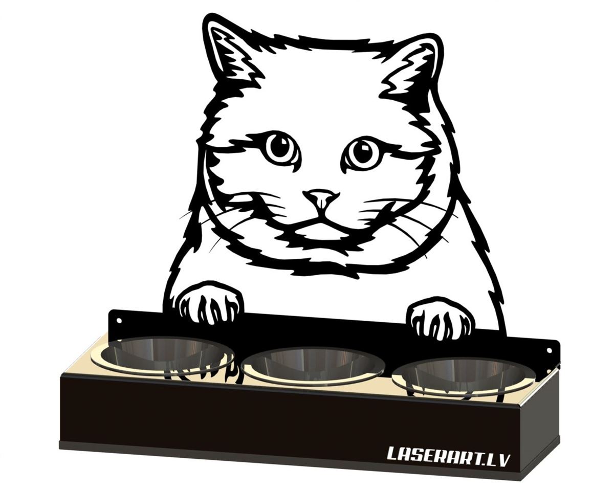3-Bowl Cat Feeder, British Shorthair Cat breed, Raised Feeding Station